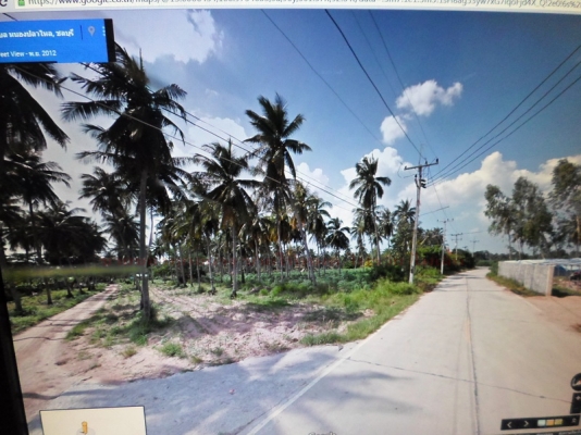 ขายที่ดิน บางละมุง ชลบุรี