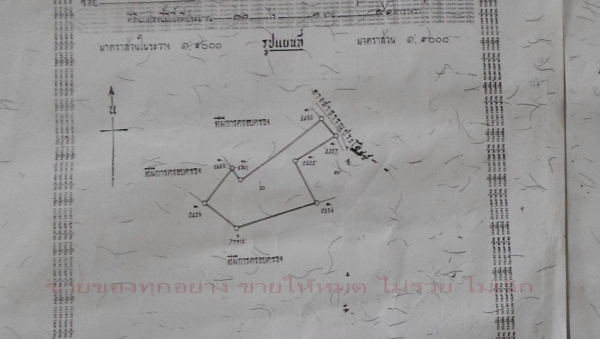 ขายที่ดิน บางละมุง ชลบุรี