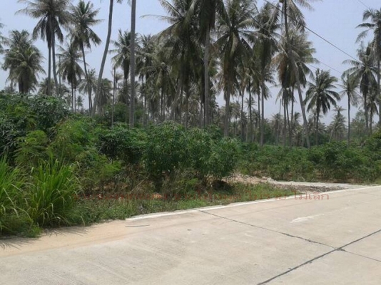 ขายที่ดิน บางละมุง ชลบุรี