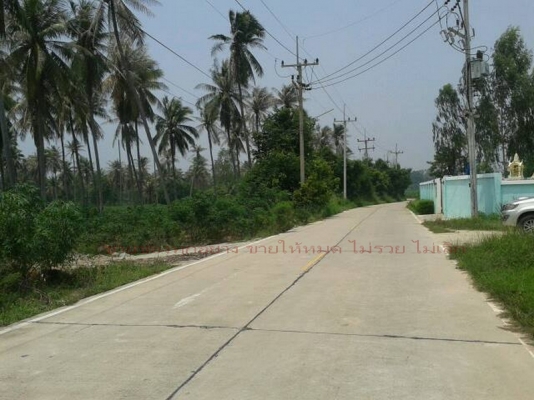 ขายที่ดิน บางละมุง ชลบุรี