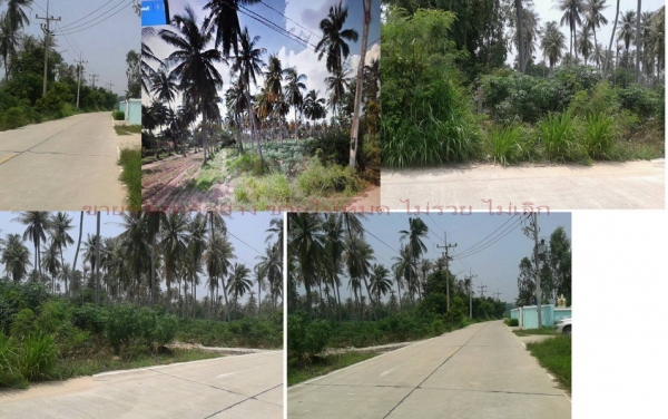 ขายที่ดิน บางละมุง ชลบุรี