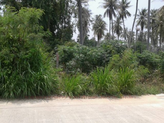 ขายที่ดิน บางละมุง ชลบุรี