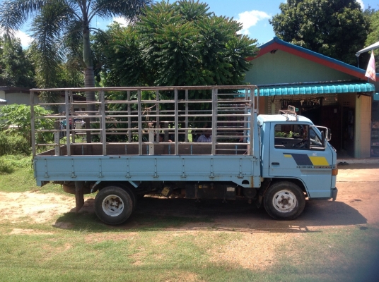 NKR 110 แรง ปี  36  รถตามภาพ  ราคา  285,000 บาท