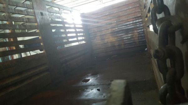 รถอีซูซุ 10 ล้อ หลังถนน FVM 175 แรงม้า.  ปี 38   สนใจติดต่อ  081 - 6079515