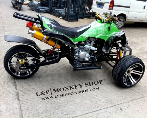 เอทีวี SPORT VIP  125 / 250 cc แต่งล้อแม๊ก และ ล้อกะทะ ราคา พิเศษ สนใจ สอบถามได้ค่ะ