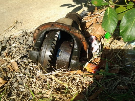 ขายเฟืองท้าย