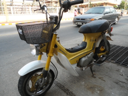 ขออนุญาติขายชาลี