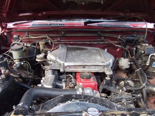 ขาย  NISSAN  TERRANO  I  กระบะ คานแข็ง คอยสปริง