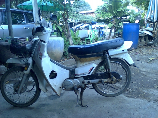 ขาย ดรีมคุรุ ด่วน ด่วน