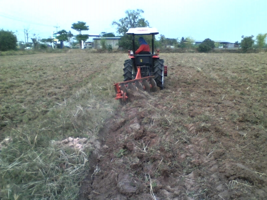 ขาย.รถไถยันม่า3502tex