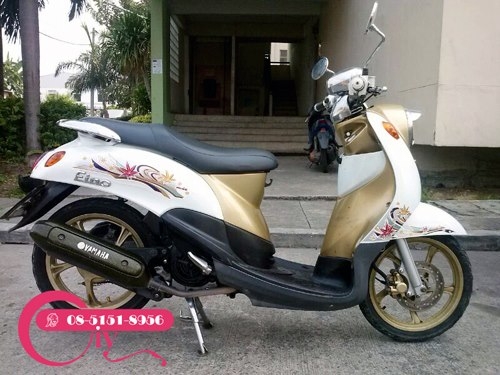 ขาย FINO ปี 51 ราคาเพียง 15,500 บาทเท่านั้น ล้อแม็คเครื่องแรง ไม่ดัง ภาษีไม่ขาดพร้อมใช้ ขาย FINO ปี 51 ราคาเพียง 15,500 บาทเท่านั้น ล้อแม็คเครื่องแรง ไม่ดัง ภาษีไม่ขาดพร้อมใช้