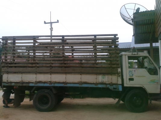 ขาย 6 ล้อ MITSUBISHI 115 แรง รถห้างแท้ เกียร์สั้น (FE449E-TA0761) (4D34-TA0761) พร้อมโอน พร้อมใช้ ขาย 6 ล้อ MITSUBISHI 115 แรง รถห้างแท้ เกียร์สั้น (FE449E-TA0761) (4D34-TA0761) พร้อมโอน พร้อมใช้