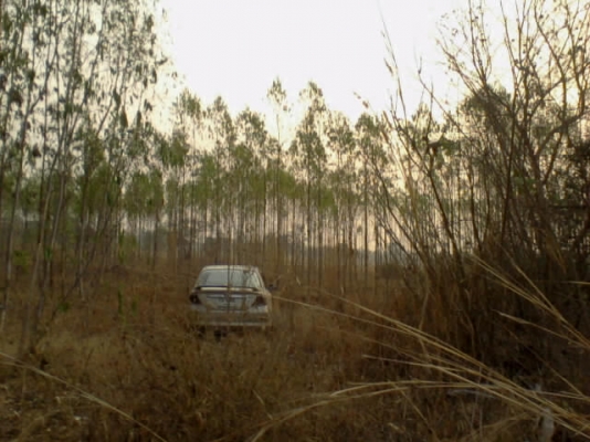 ขายที่ดินเปล่า 7 ไร่กว่า ติดถนนใหญ่! ขายที่ดินเปล่า 7 ไร่กว่า ติดถนนใหญ่!