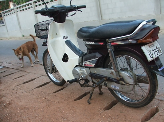 ขายดรีมคุรุสภา