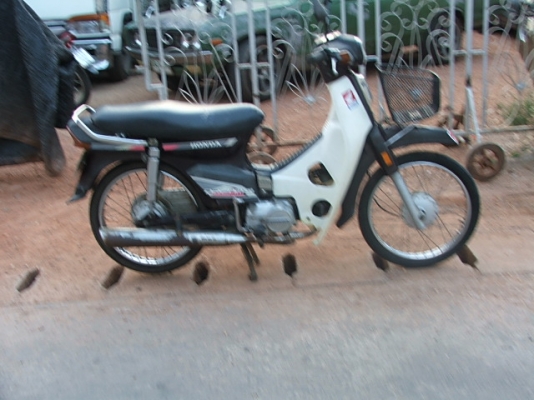 ขายดรีมคุรุสภา