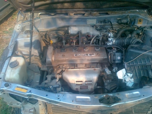 ซื้อหนึ่งแถมหนึ่ง โซรูน่า ปี97ทั้งสองคัน คันสีทองโดนหน้าซ้ายเครื่องติดปกติ คันสีฟ้า เครื่องติดขี่ได้โดนหลังมา เอาไปยำเองมีทะเบียนทั้งสองคัน ปิดบัญชีรอเล่ม15วัน ขายเหมาสองคันละ58000บาทเหมาะคนมีอู่ถามมาตอบตรงๆ