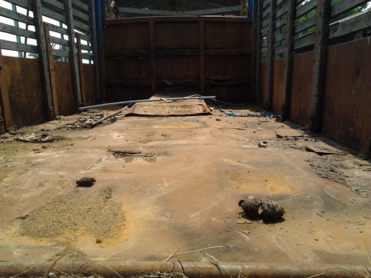 ***ขายแล้วครับขอบคุณ Truck2hand ขาย 10ล้อดั๊ม หัวยาว 1เพลา ISUZU TX เครื่อง6BB1 145 แห้งๆ แรงดี เกียร์เดิม สโลว์J ช่วงล่างใหญ่ เสื้อเพลาF18 กระบอกดั๊ม ใหญ่ กระบะดั๊มเหล็กคอกไม้ ยาง 900 ดี 10 เส้น คัสซีดี เล่มพร้อมโอน ขายตามสภาพ ราคาต่อรองได้ครับ