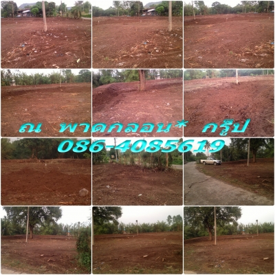 งานดิน ทับกวาง สระบุรี ไป- กลับ 24 คิดเป็นเที่ยว ราคาสูง / หมวดมินทร์ 086-4085619