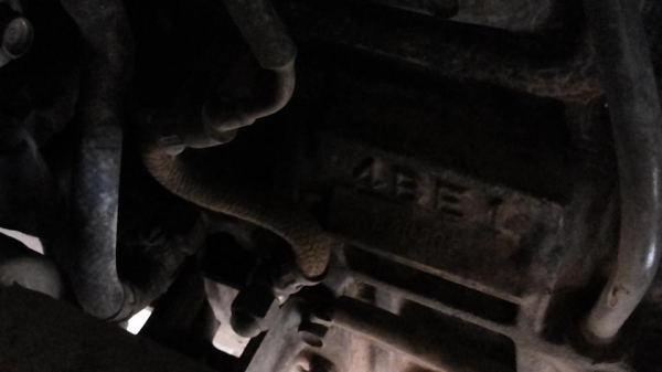 *380,000 บ.ต่อรอง/// 6ล้อดั้ม ISUZU NPR 110 **ขาย ISUZU NPR 110แรง 6ล้อดั้มดิน5คิว ช่วงล่างใหญ่ ISUZU NPR (462xxxx )4BE1-110แรง เครื่อง110แรง ฝาดำ แน่นดี แรงดี เกียร์สั้น เข้าง่ายไม่หลุดครับ ช่วงล่างใหญ่ Fหน้า-หลัง สโลวกลางพร้อมลุย คัสซีดีสวย เดิม ไม่ปะ ไ