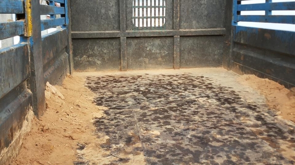 *380,000 บ.ต่อรอง/// 6ล้อดั้ม ISUZU NPR 110 **ขาย ISUZU NPR 110แรง 6ล้อดั้มดิน5คิว ช่วงล่างใหญ่ ISUZU NPR (462xxxx )4BE1-110แรง เครื่อง110แรง ฝาดำ แน่นดี แรงดี เกียร์สั้น เข้าง่ายไม่หลุดครับ ช่วงล่างใหญ่ Fหน้า-หลัง สโลวกลางพร้อมลุย คัสซีดีสวย เดิม ไม่ปะ ไ