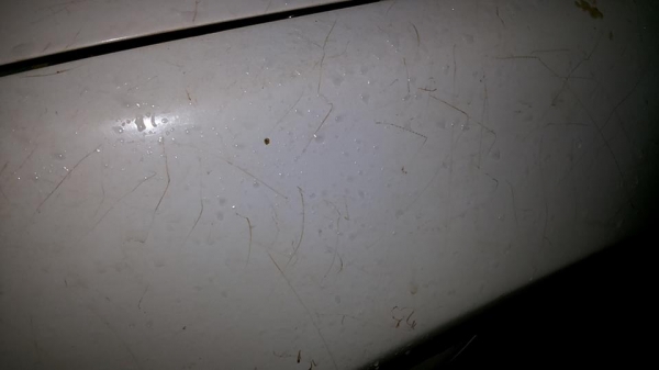 รถเก๋งHONDA CIVIC เตารีด4ประตู ปี36 ติดLPG **ขาย HONDA CIVIC โฉมเตารีด 4ประตู ติดLPG หัวฉีด รถเก๋งยอดนิยม เครื่องใหม่ กล่องใหม่ ระบบไฟใหม่ พร้อมใช้งาน HONDA CIVIC 4Dr 1.6Lxi MT โฉมเตารีด4ประตู เกียร์ธรรมดา ปี36/93 เครื่องวางใหม่ของ CI รถเก๋งHONDA CIVIC เตารีด4ประตู ปี36 ติดLPG **ขาย HONDA CIVIC โฉมเตารีด 4ประตู ติดLPG หัวฉีด รถเก๋งยอดนิยม เครื่องใหม่ กล่องใหม่ ระบบไฟใหม่ พร้อมใช้งาน HONDA CIVIC 4Dr 1.6Lxi MT โฉมเตารีด4ประตู เกียร์ธรรมดา ปี36/93 เครื่องวางใหม่ของ CI