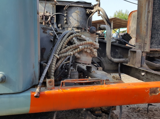 ขายด่วน ตัวสับครอนโทน ขายด่วน ตัวสับครอนโทน