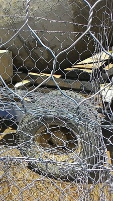 รถหกล้อโม่ปูน ISUZU FORWARD รถเก่าญี่ปุ่น