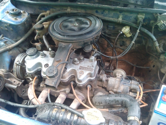 นิสัน ซันนี่