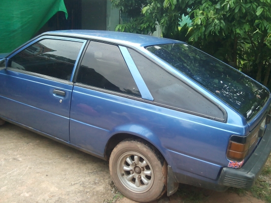 นิสัน ซันนี่