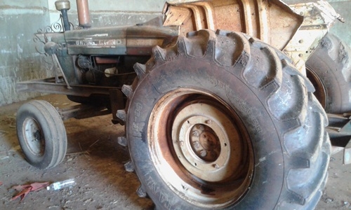 6600 T5  ผาน 7 ผานปลูกข้าวโพด