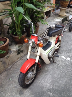 ขาย Chaly Cf50 ไฟบน ประกอบใหม่ รถเดิมๆระบบไฟครบ เครื่องเงียบดีมาก ขาย Chaly Cf50 ไฟบน ประกอบใหม่ รถเดิมๆระบบไฟครบ เครื่องเงียบดีมาก