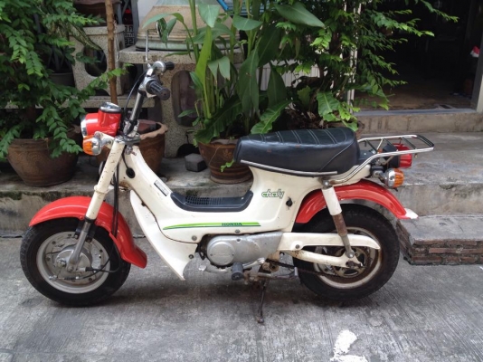 ขาย Chaly Cf50 ไฟบน ประกอบใหม่ รถเดิมๆระบบไฟครบ เครื่องเงียบดีมาก ขาย Chaly Cf50 ไฟบน ประกอบใหม่ รถเดิมๆระบบไฟครบ เครื่องเงียบดีมาก