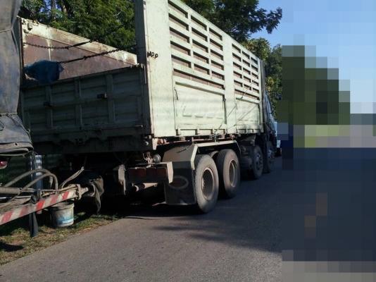 ขายดาวน์ รถสิบล้อ HINOFM 1J สมอทอง คอกเกษตรดั้มสามมิตรแม่ลูก