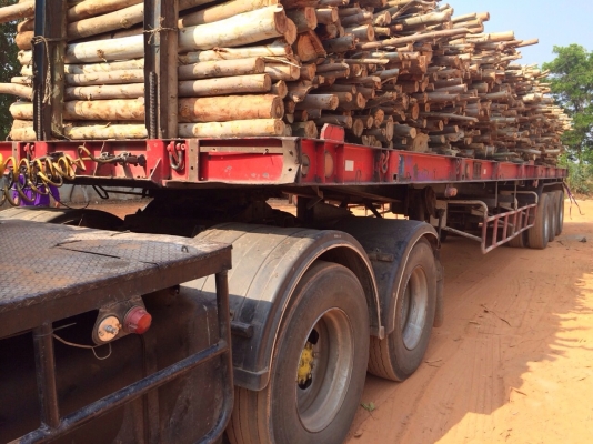 ขายด่วน  หางพื้นเรียบสามเพลาพนัส  ปี 48 สภาพดีมาก  พร้อมใช้งาน เอกสารพร้อม