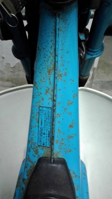 Chaly CF50 ประกอบใหม่ เดิมๆสนิมกัดบางๆ ระบบไฟครบ กุญแจดอกเดียวทั้งคัน