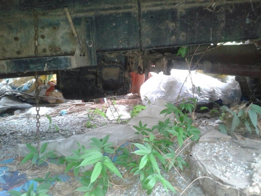 ขายไป120,000บ.ครับท่าน หกล้อ อีซุซุ หัวยาว EH 700 พาเวอร์ สโลสกลาง สภาพใช้งานปกติเครืองดีขับกลับบ้านได้เลย ทะเบียน ม.79 ขายไป จ.บุรีรัมย์ 120,000บ ถูกๆๆ ขายไป120,000บ.ครับท่าน หกล้อ อีซุซุ หัวยาว EH 700 พาเวอร์ สโลสกลาง สภาพใช้งานปกติเครืองดีขับกลับบ้านได้เลย ทะเบียน ม.79 ขายไป จ.บุรีรัมย์ 120,000บ ถูกๆๆ