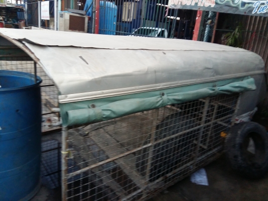 ขายถูกด่วน หลังคากะบะแค็ป มังกรทอง 2,000