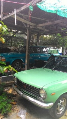 รถดัทสัน1000 รถดัทสัน1000