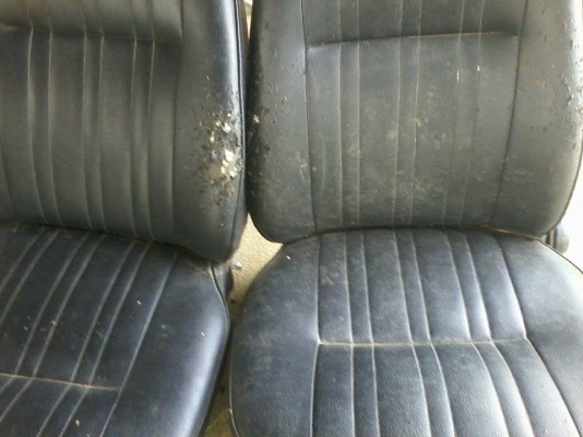 ขายเบาะเดิมMazda808หุ้มแล้วไม่ได้ใช้คับ คุ่ล่ะ1500 แมวข่วนมีรอยบ้าง ขายเบาะเดิมMazda808หุ้มแล้วไม่ได้ใช้คับ คุ่ล่ะ1500 แมวข่วนมีรอยบ้าง