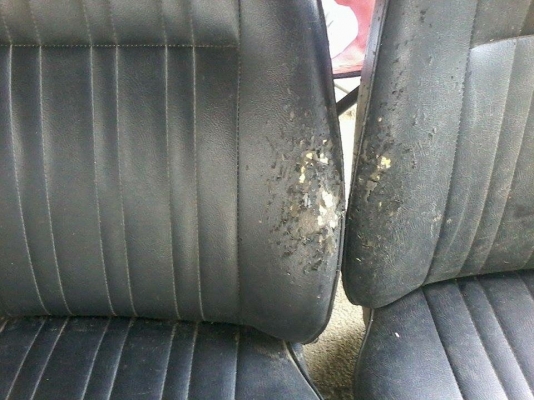 ขายเบาะเดิมMazda808หุ้มแล้วไม่ได้ใช้คับ คุ่ล่ะ1500 แมวข่วนมีรอยบ้าง ขายเบาะเดิมMazda808หุ้มแล้วไม่ได้ใช้คับ คุ่ล่ะ1500 แมวข่วนมีรอยบ้าง