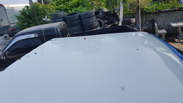 ขาย อีซูซู ปี91