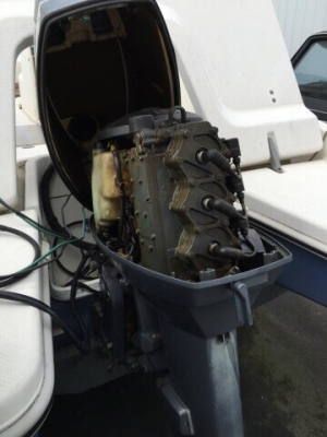 เรือตกปลา srv20 นำเข้าญี่ปุ่น