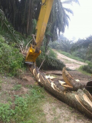 ขาย สั่งทำ บุ้งกี้ สับต้นปาล์ม แบคโฮ ทุกรุ่นครับ 093-7282709