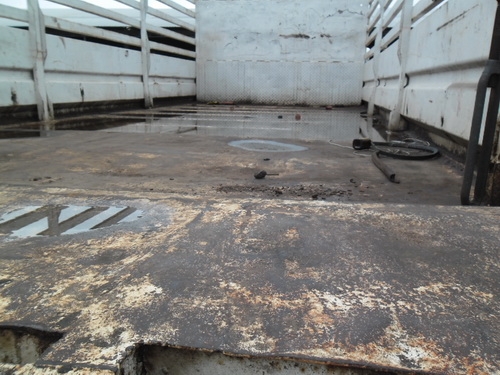 -ขายแล้ว-