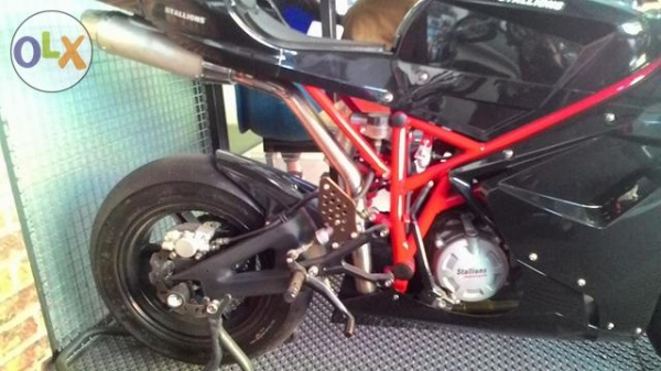 STALLION GP 1 STALLION GP 1