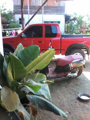 ขายรถสวย สภาพดี ขายรถสวย สภาพดี