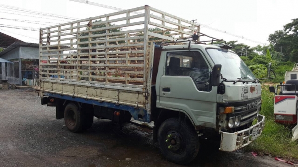 ขาย 6 ล้อ TOYOTA BU91 หัวใหญ่ 3 ใบปัด ปี 38 เครื่อง 14B 115 แรงม้า เกียร์สั้น คัสซีสวยตลอดเส้น หัวเก๋งยกได้ ทะเบียนพร้อมโอน ราคาต่อรองได้ครับ ขาย 6 ล้อ TOYOTA BU91 หัวใหญ่ 3 ใบปัด ปี 38 เครื่อง 14B 115 แรงม้า เกียร์สั้น คัสซีสวยตลอดเส้น หัวเก๋งยกได้ ทะเบียนพร้อมโอน ราคาต่อรองได้ครับ