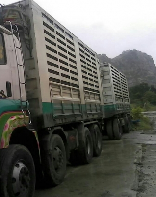 ขาย 360 ปี54 แม่-ลูกดั้ม เหล็กคอกเกษตร 2,400,000-