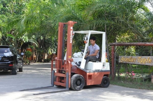 (ลดกระหน่ำ)ขายFORKLIFT NISSAN FG15(1.5ตัน) เสา3.50เมตร สวยเดิมจากญี่ปุ่น ยังไม่เคยใช้ในไทย 89,000เท่านั้น!!