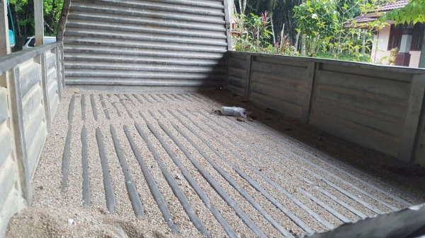 รถอีซูซุ 4 ล้อ NKR 88 แรงม้า. ปี 35.  สนใจติดต่อ  081 - 6079515